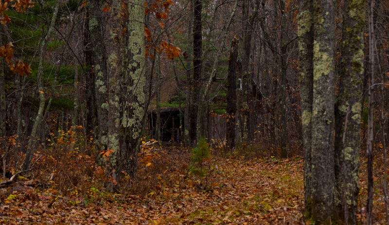 Illustration for article titled Superior National Forest